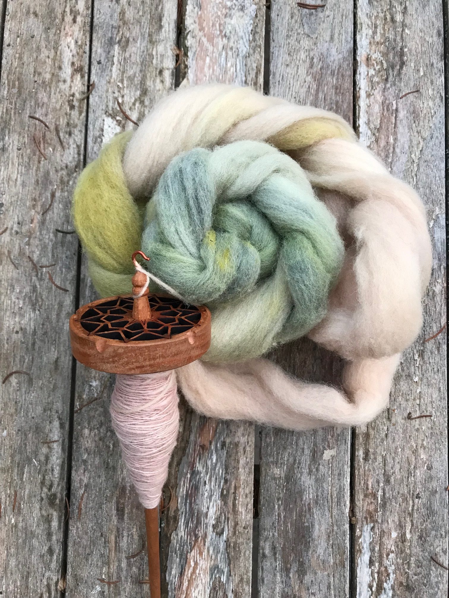 Slow Disruptor Collection - Plant dyed wool for spinning!